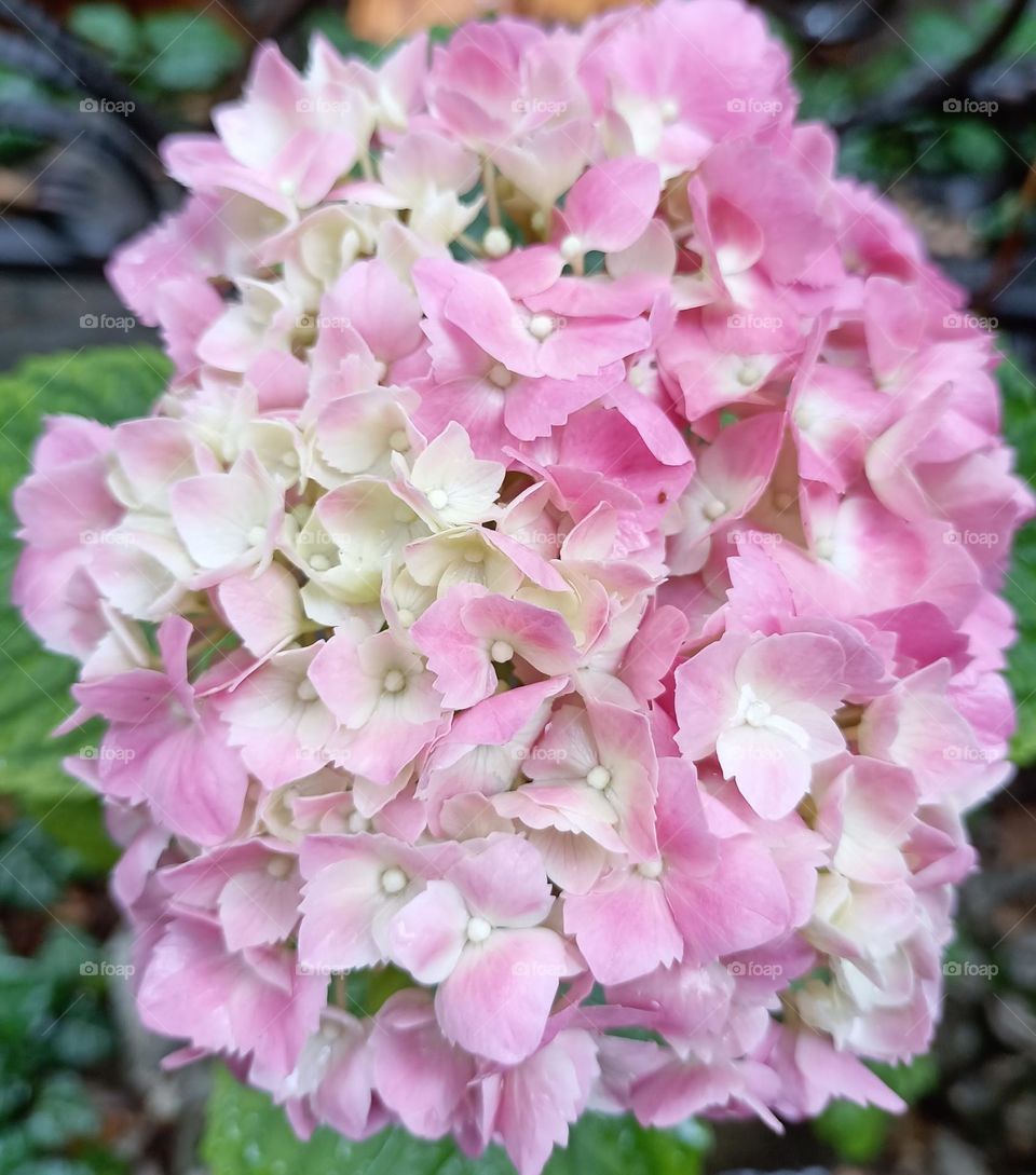 The rain is wonderful