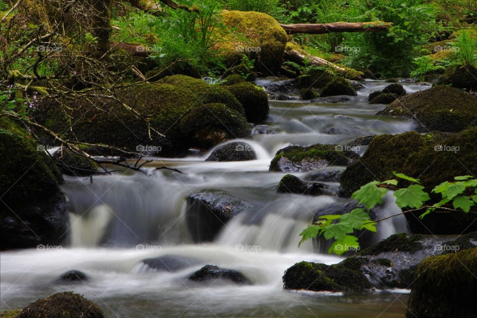 River Bovey