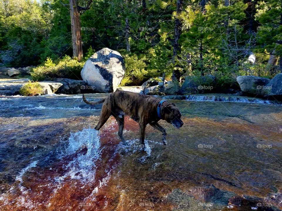 Bassi falls,  Thor