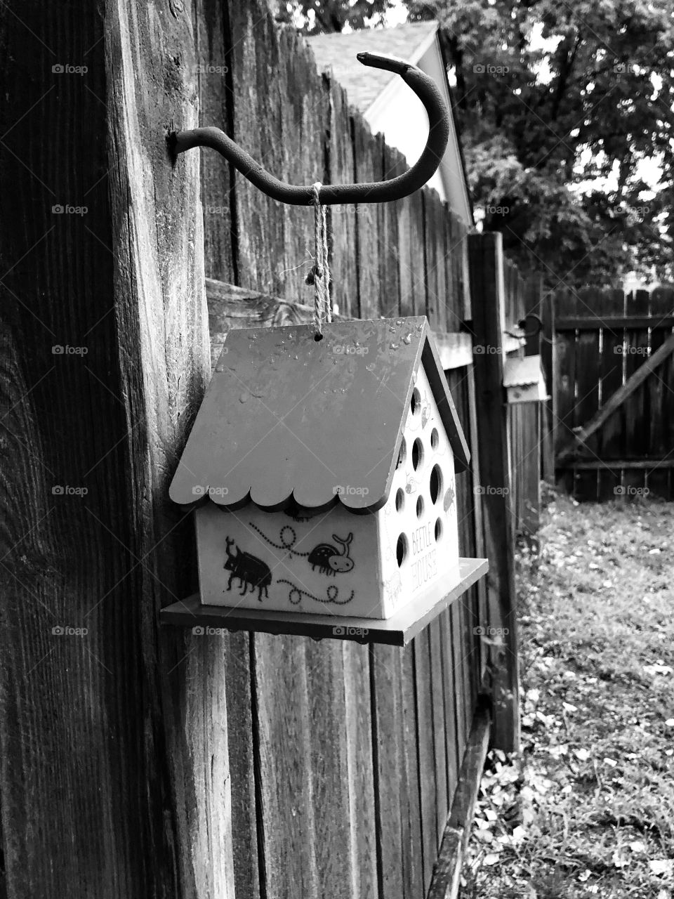 Houses on fence