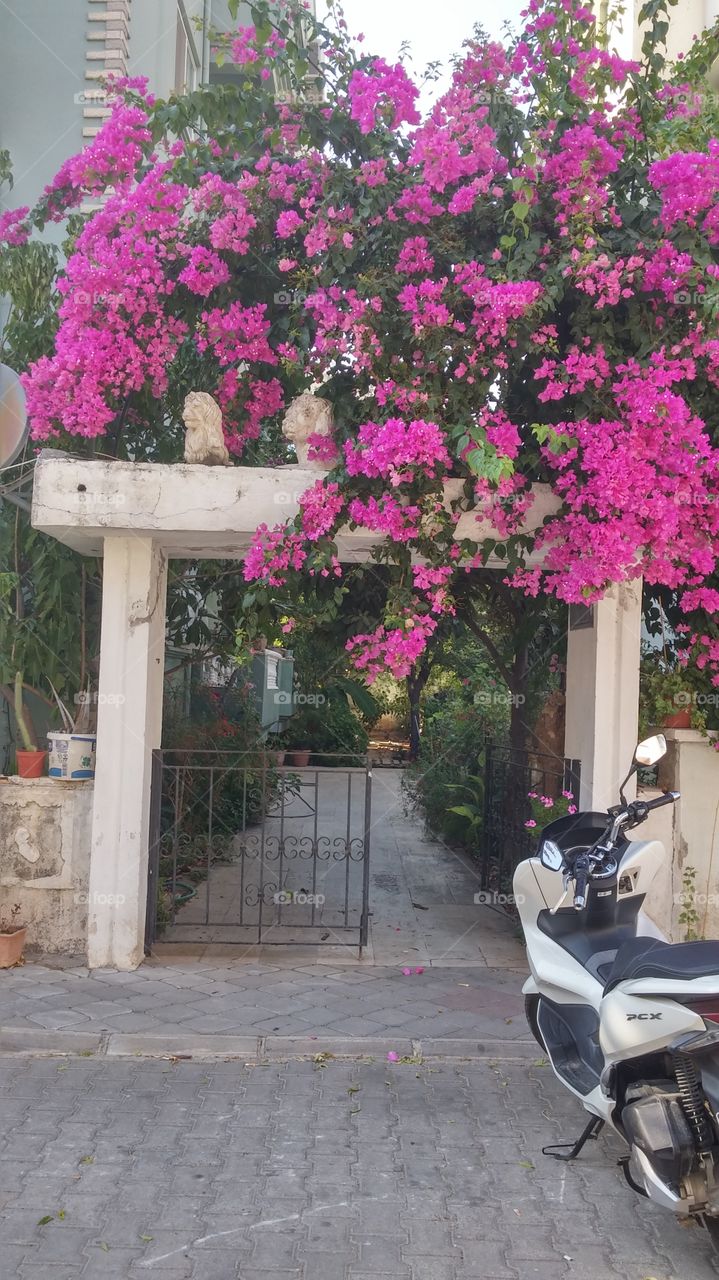 Entrance a home, in Marmaris