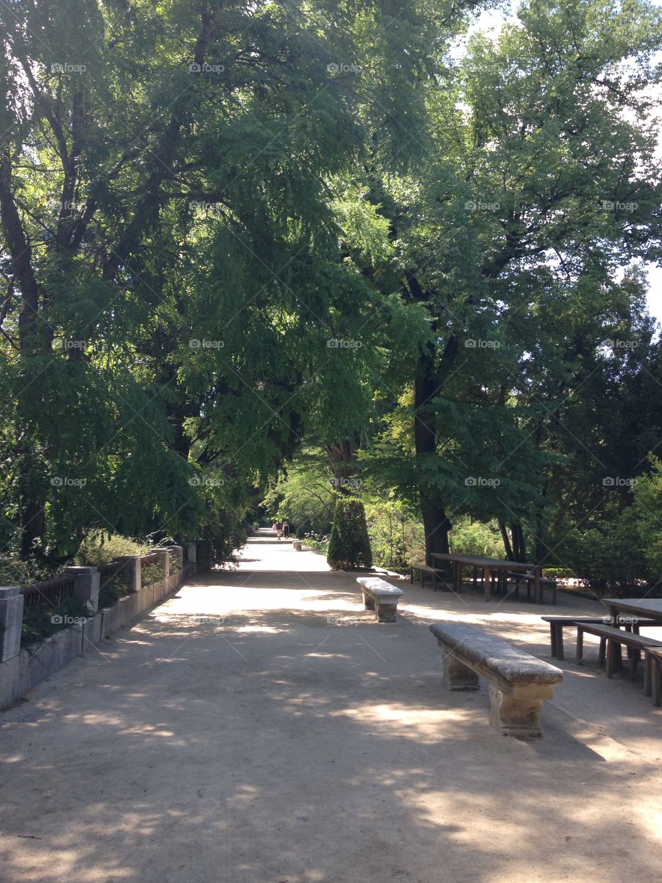Under the trees. Jardín Botanico, Madrid, Spain 
