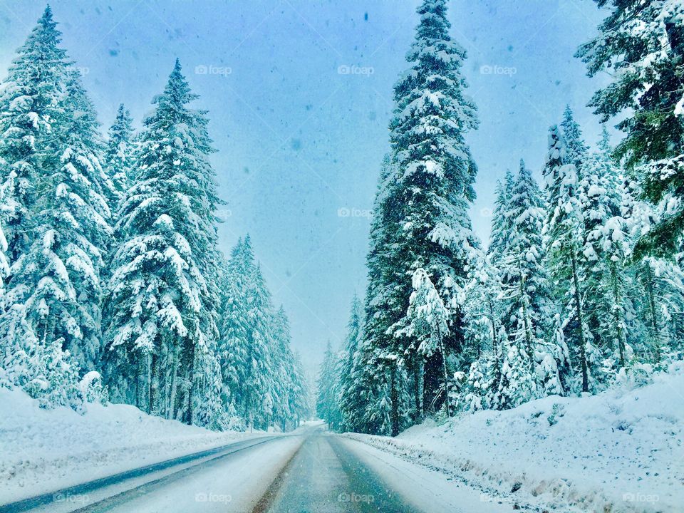 Oregon winter pass