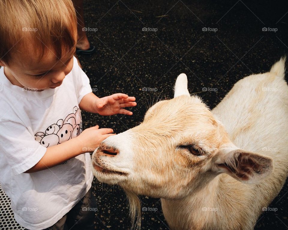 Child with goat