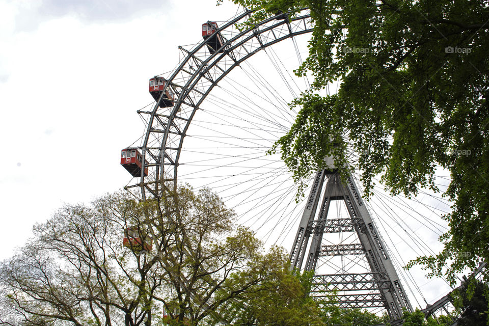 Ferry Wheel behind trees