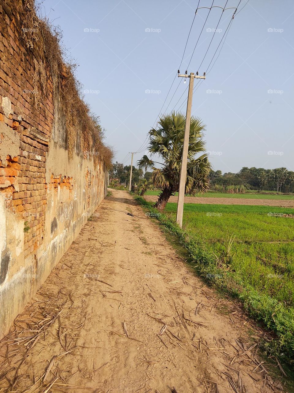beautiful unpaved road.