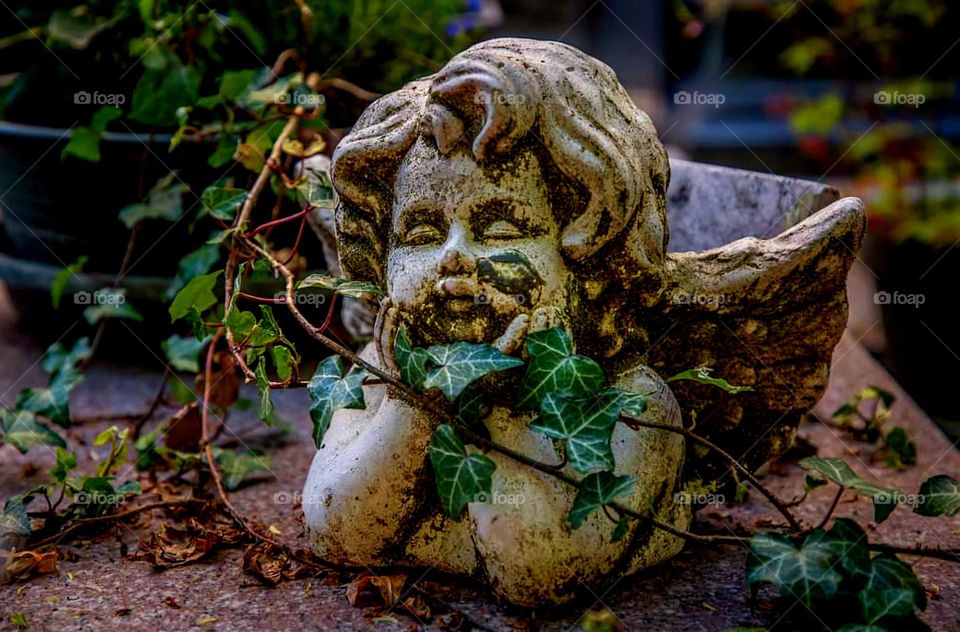 A little angel on a grave waiting patiently for the ivy that surrounds it to wither with the arrival of autumn at Montparnasse cemetery in Paris