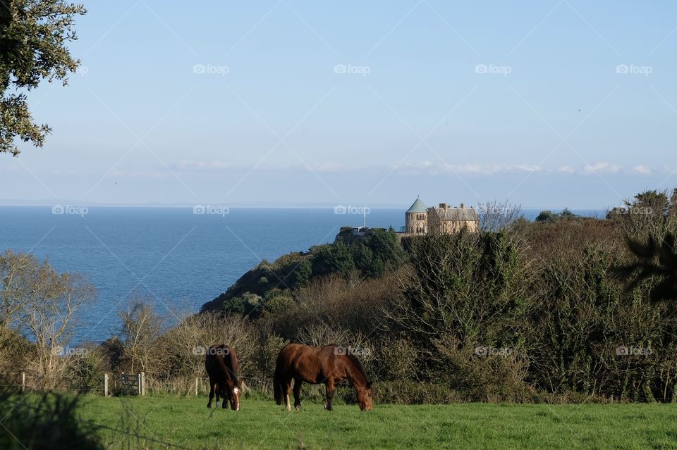 Jersey Coastal Walks,North East Jersey, Channel Islands