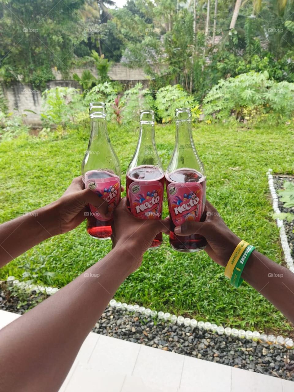Three friends are cheering three vine bottles for the victory. there are two bangals on one friend's hand and they are green and yellow in coloured. The background is green in colour and glass bottles are touching each others with "trill" sound .