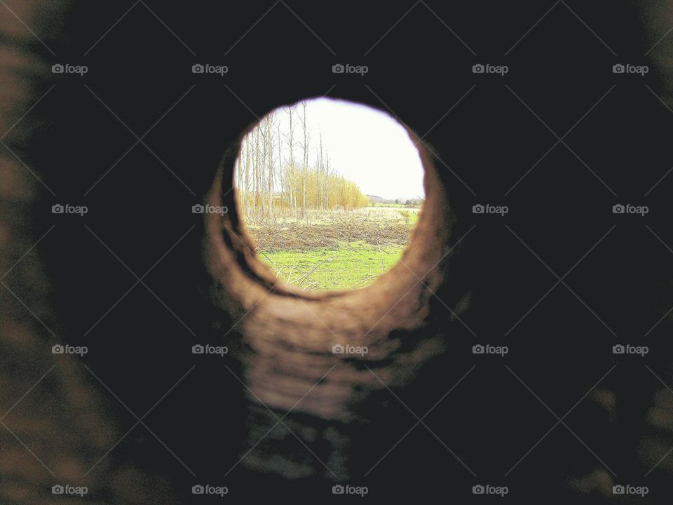 through the wormhole