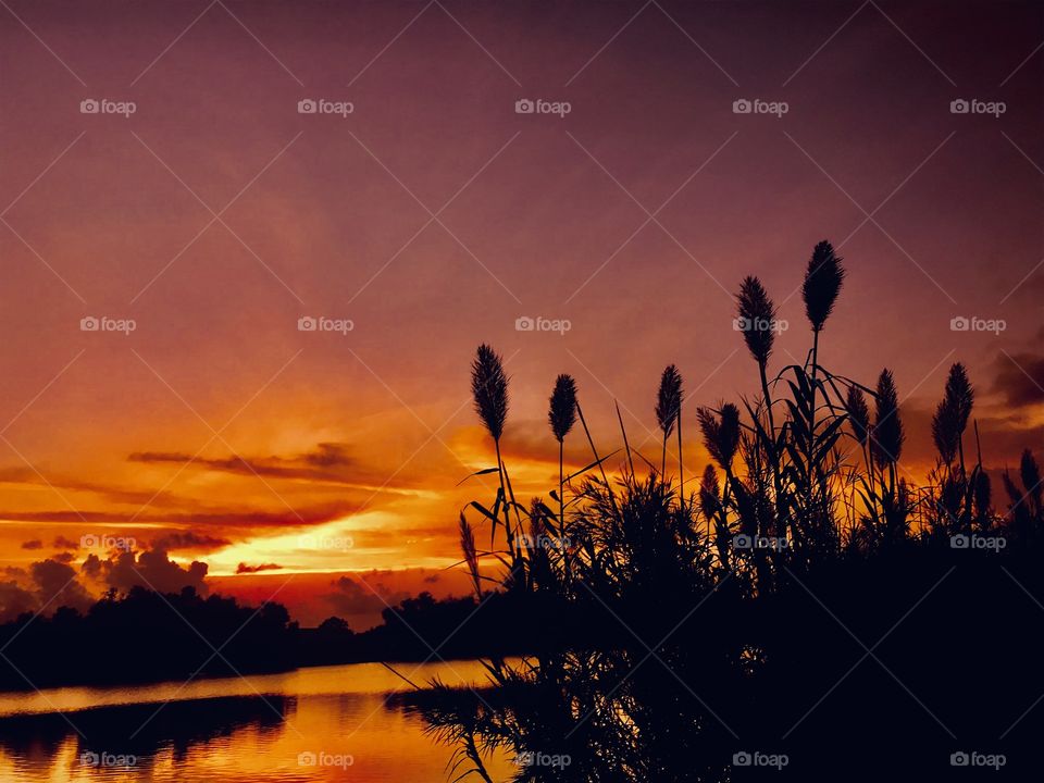 Oh what a day. The Sun can’t complete what started out to complete. Hint of storm Clouds slowly creeping upon the Picture but the Twilight is fighting to complete its Mission and it will what Beauty for Night. 