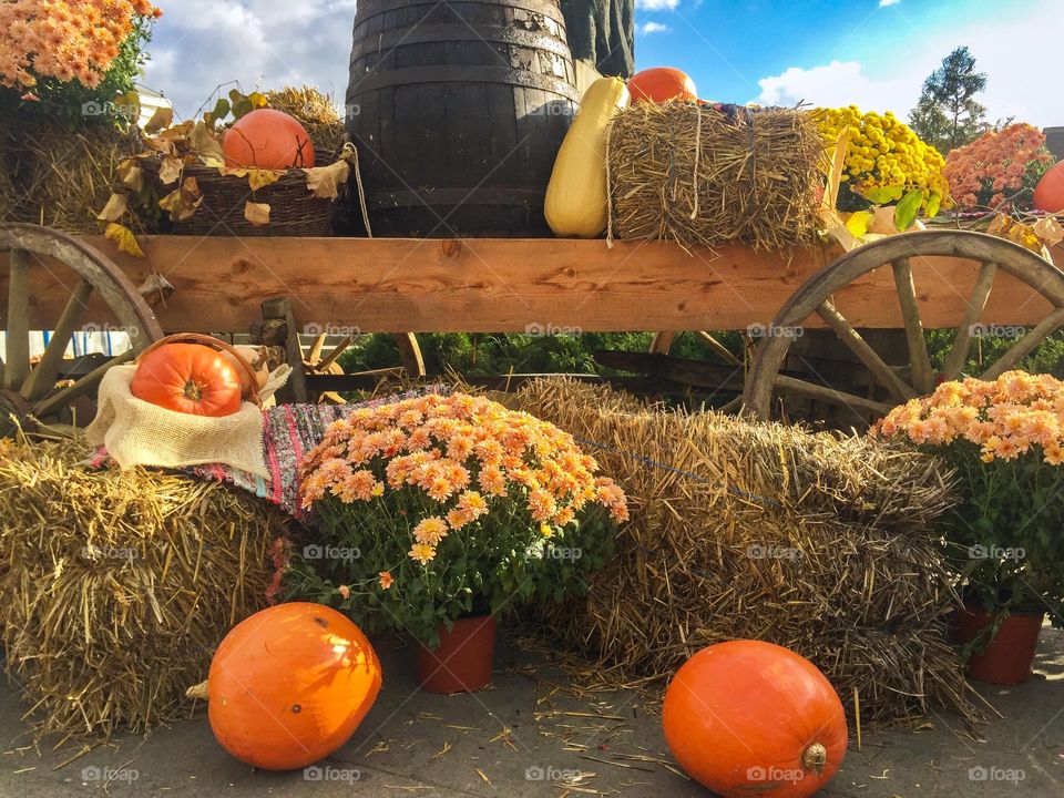 Rustic fall decorations with pumpkins, hay and chrysanthemums in a carriage