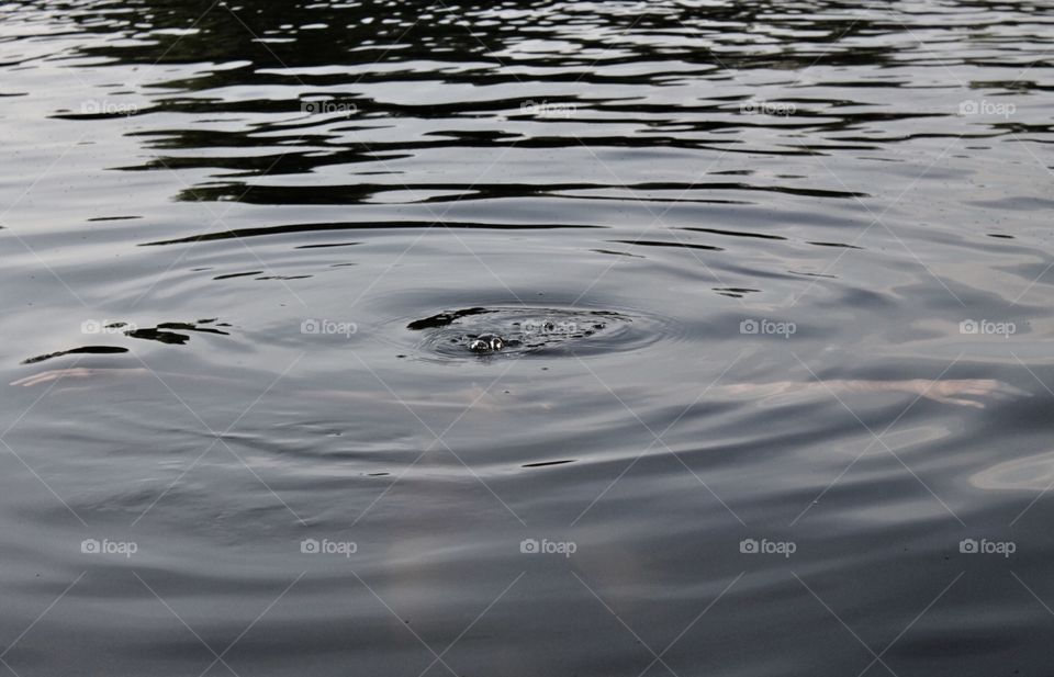 A person swimming in the water