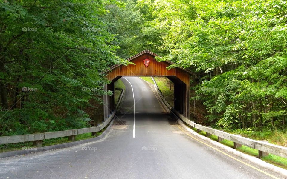 Wooden bridge Michigan