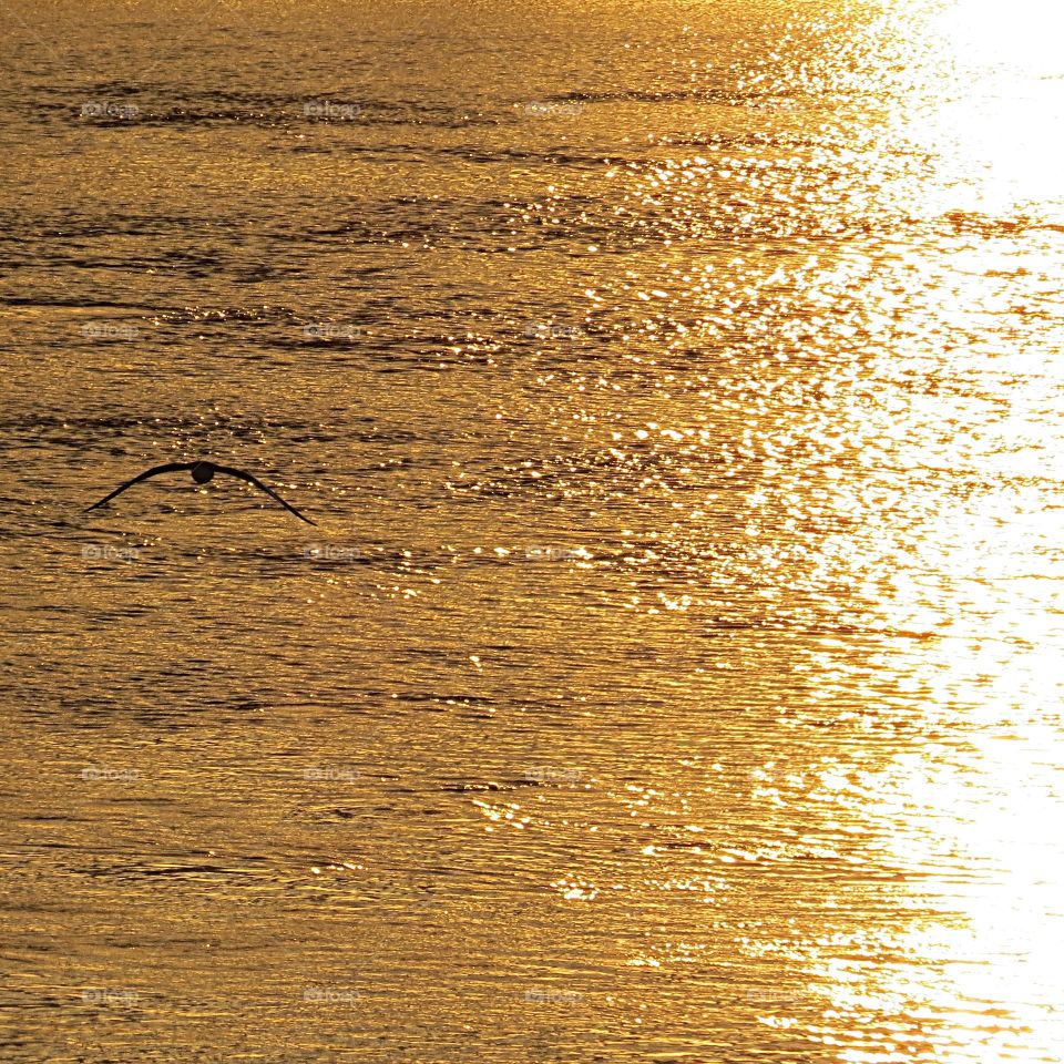 Find your inner peace