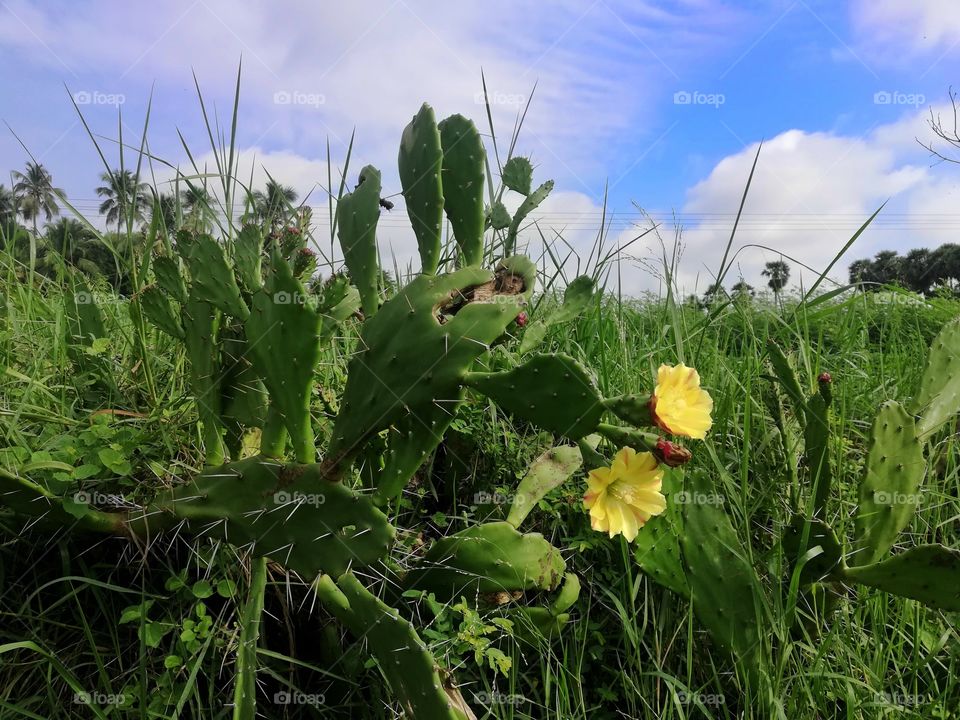 this is very amezing