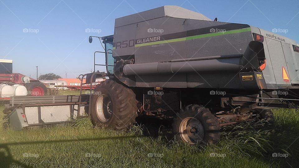 Harvest time ⌚. This is a picture of a gleaner combine which is very efficient when the wheat 🌾 is low to the ground.