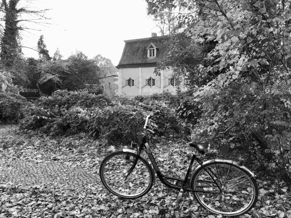 Bicycle in front of cottage in rural Germany.  