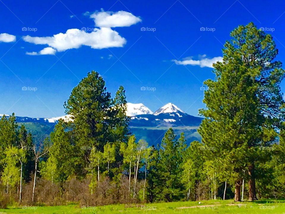 Mountain Scenes 