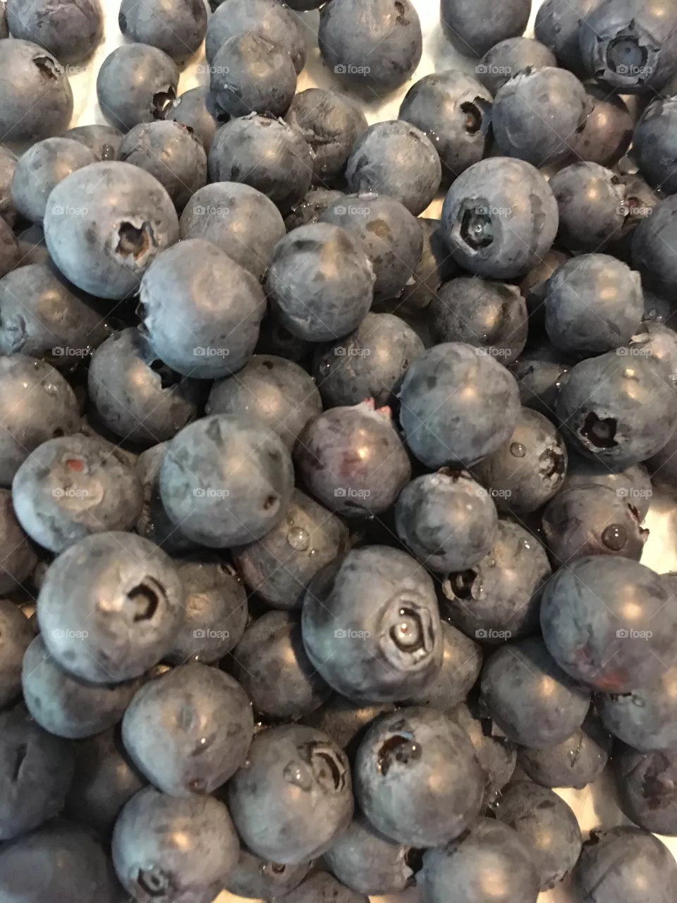 Blueberries 