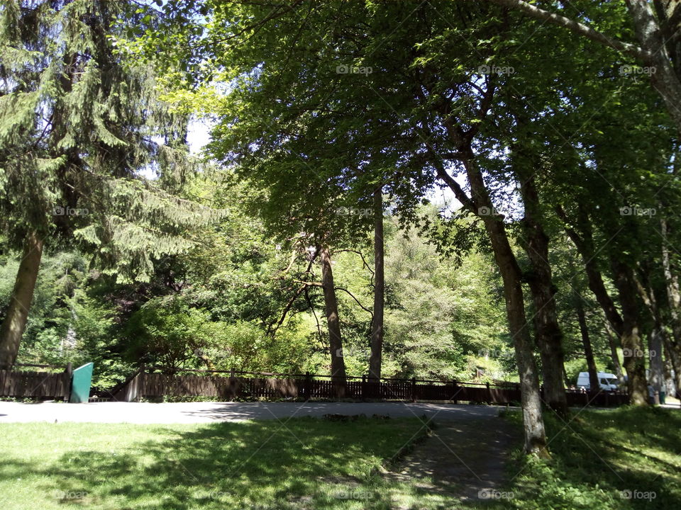 Bad Wildbad in Kurpark