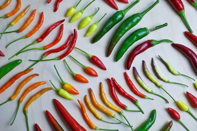 Red green yellow orange purple sharp pepper