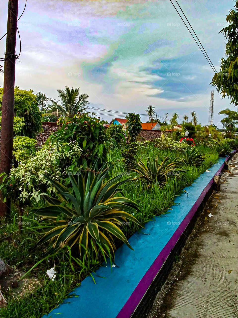 Flower garden by the roadside