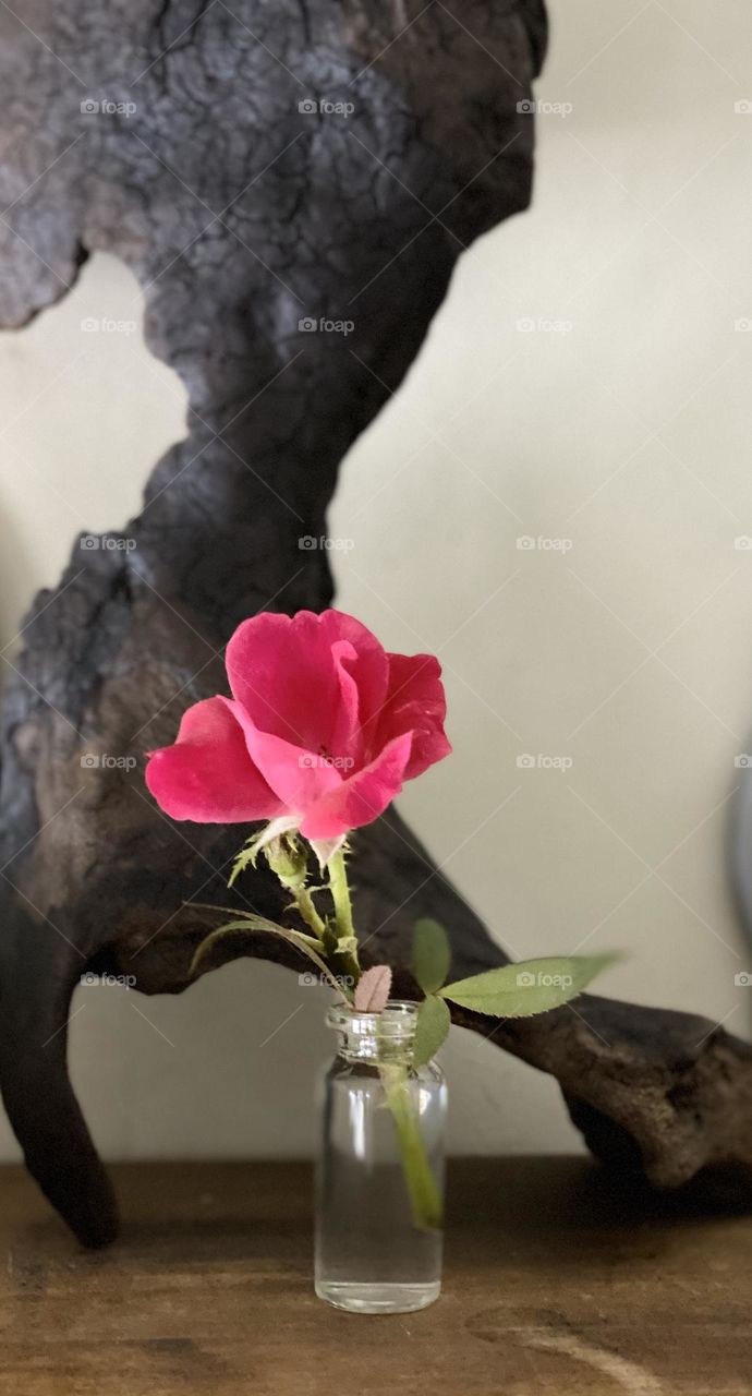 Tiny flower in a tiny vase 