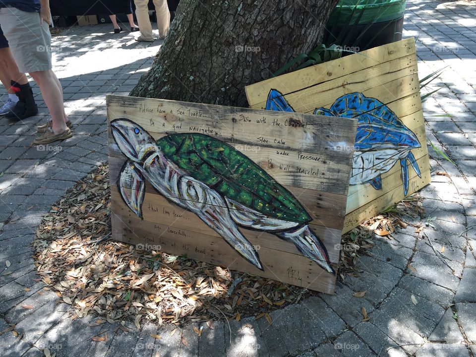 Sea turtle art