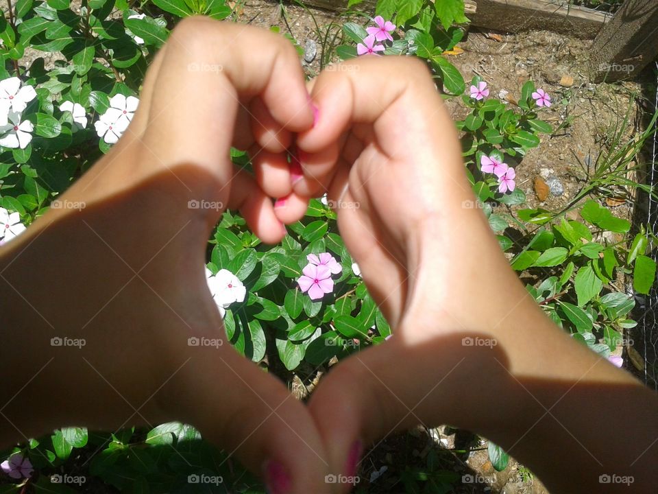 Flower, Woman, Nature, Girl, Garden