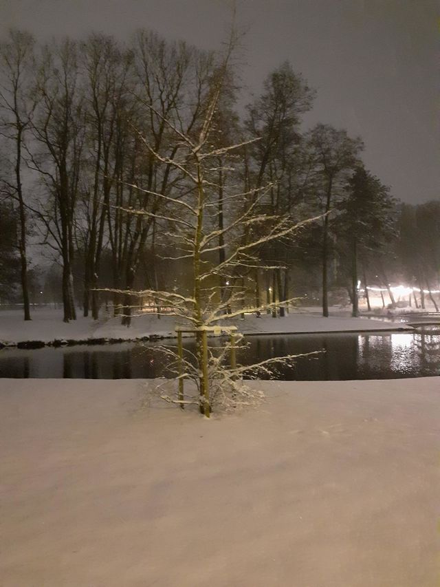 Arkadia park. Riga