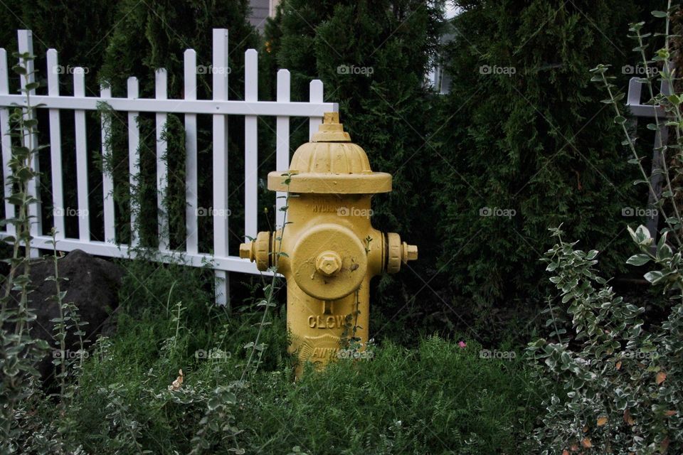 Fire Hydrant 