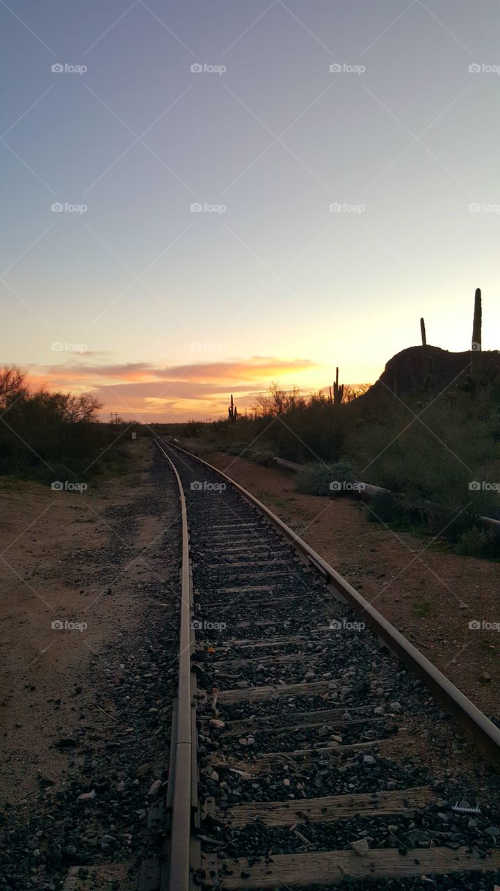 sunset, railroad tracks, cactus, desert, horizon, scenic