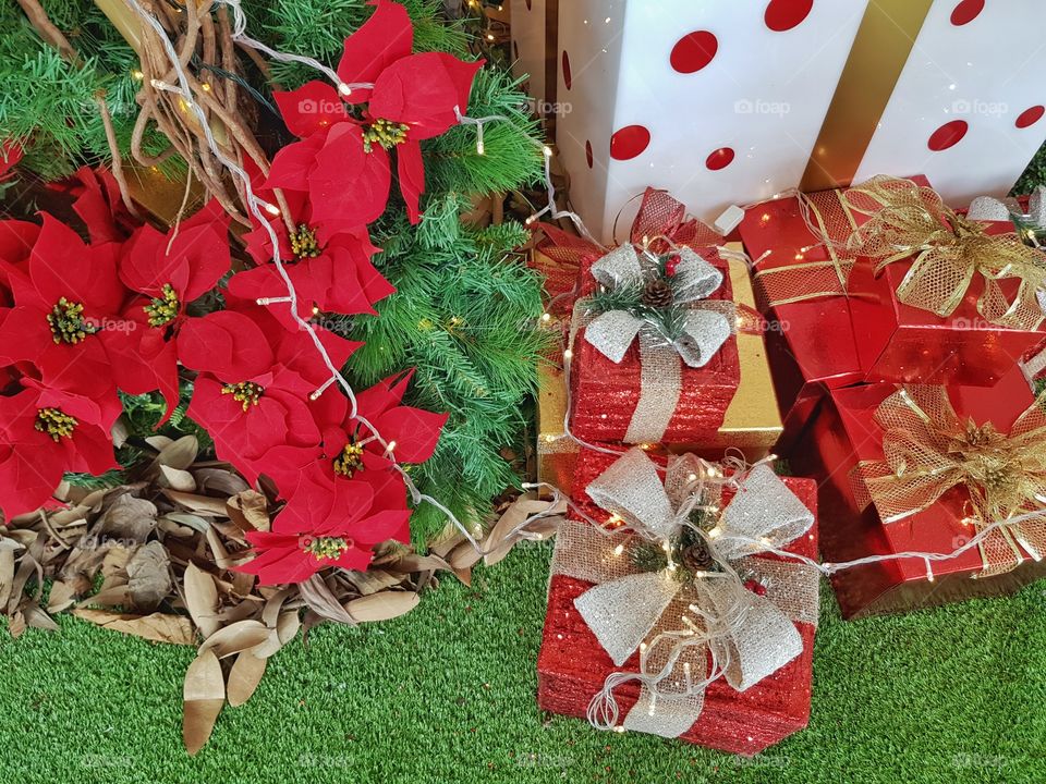 Christmas gift box next to a Christmas tree