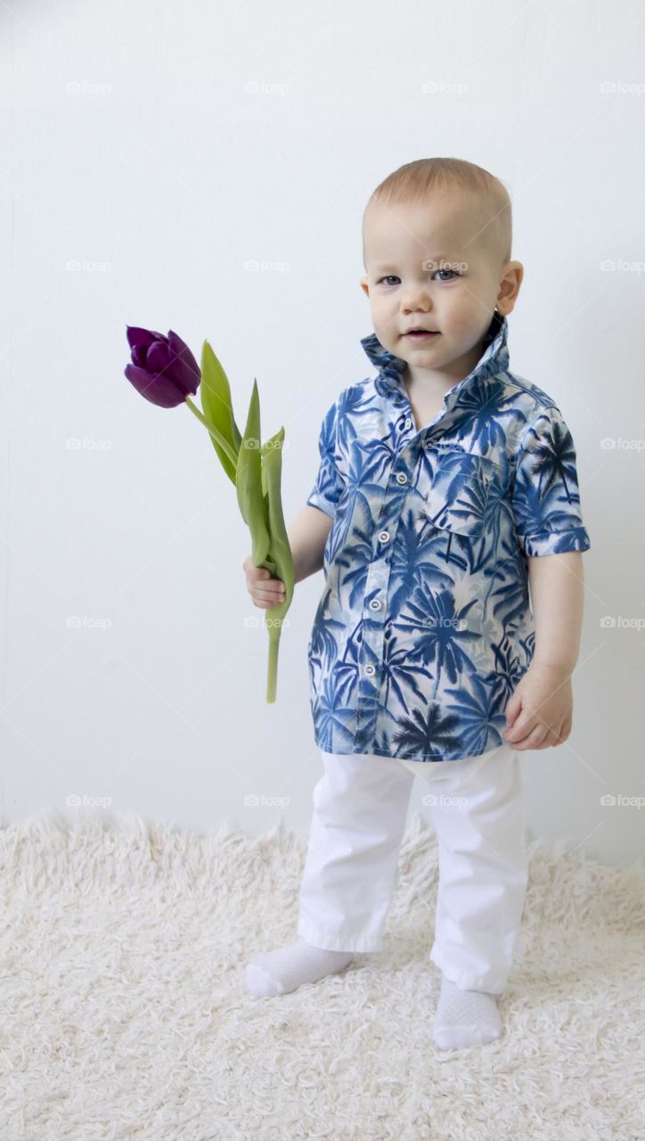 A little boy in a blue shirt and white trousers stands near a white wall with a purple flower in his hands.