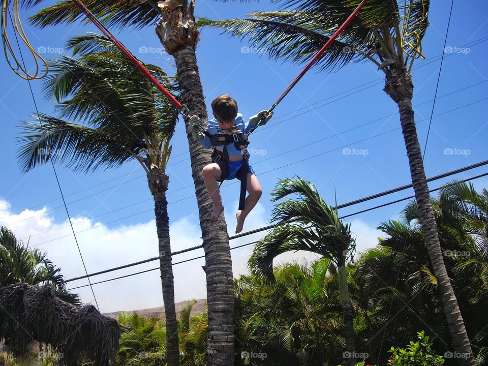 Boy On Bungee Swing
