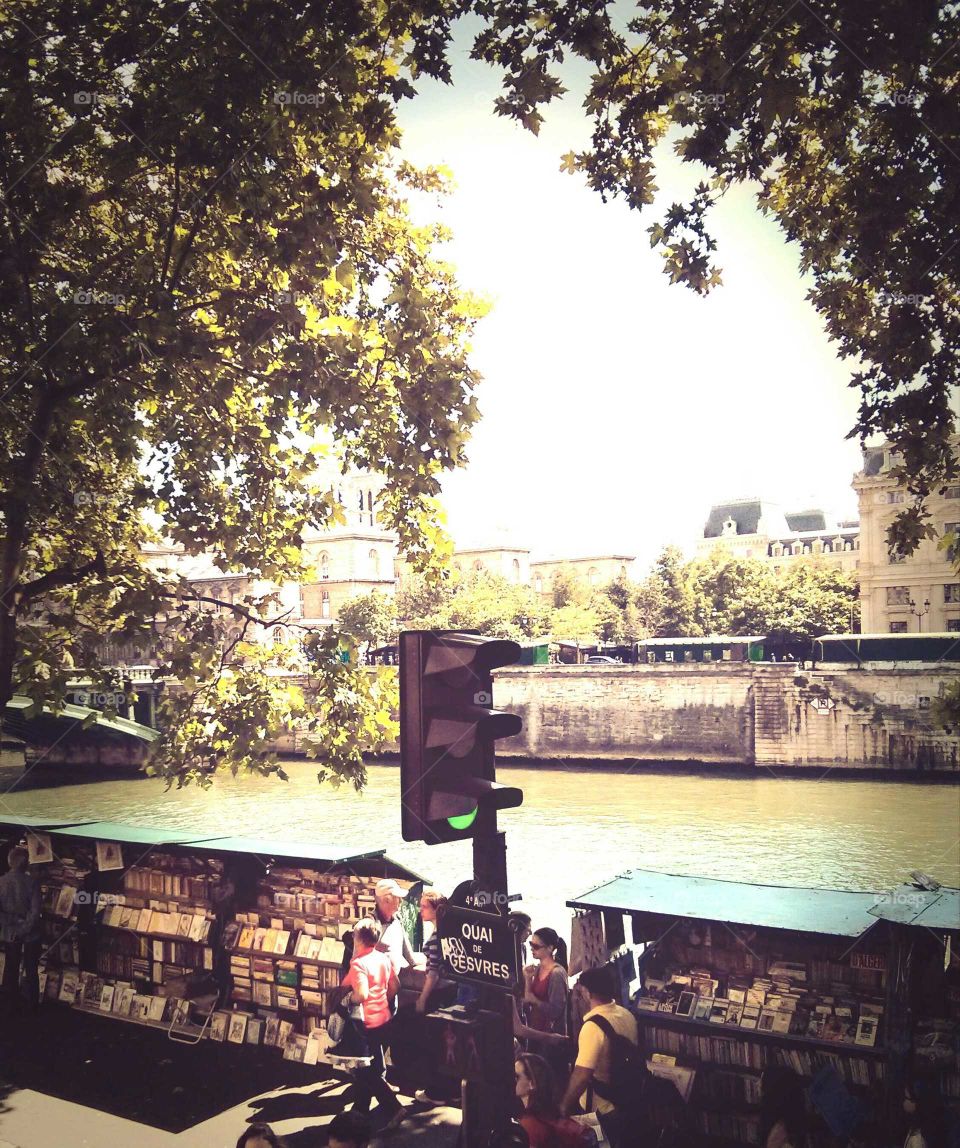 a sunny afternoon by the Quay d'Orsay looking at books
