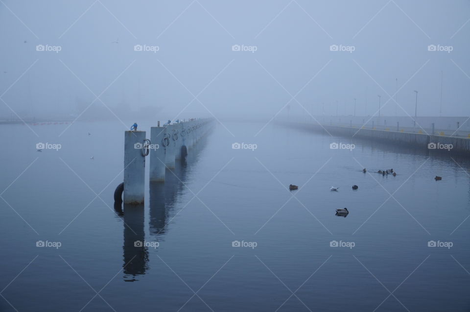 foggy morning in port at the Baltic sea coast in Poland