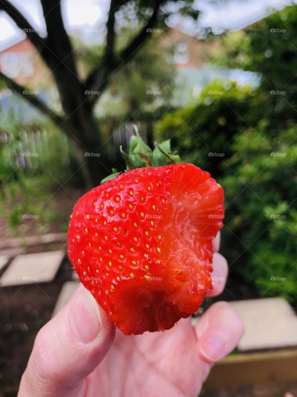 The fruits of summer 👌