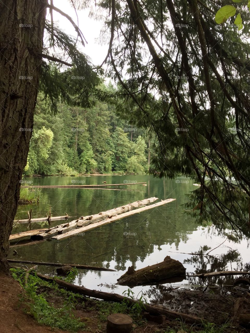 Hiking around the lake 