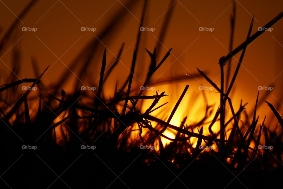 Top of the Dike - Sunset 