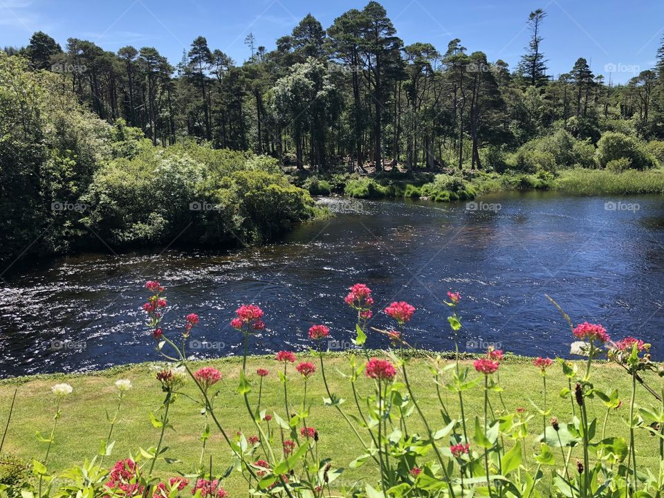 River scene