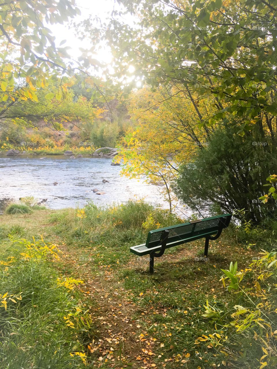 Bench by the river