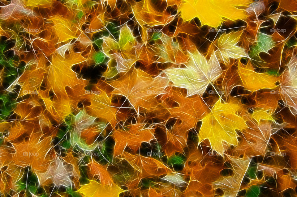 green orange leaves abstract by lukat