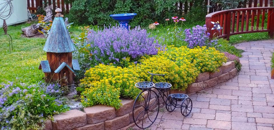 Splendor in full bloom. Nature's work on full display.