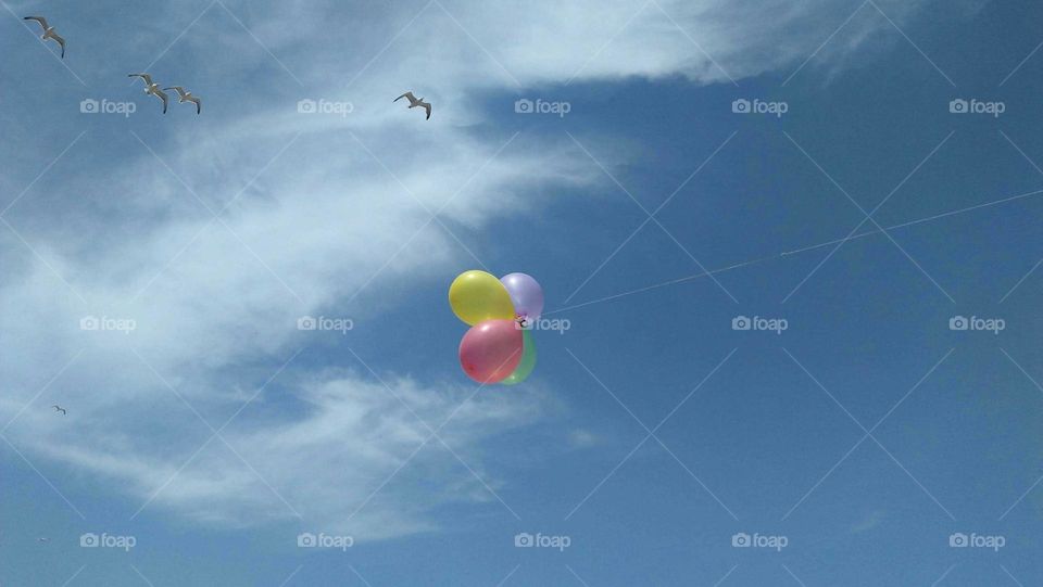 Helium balloons embraced blue sky wuth seagul at essaouira city in Morocco.