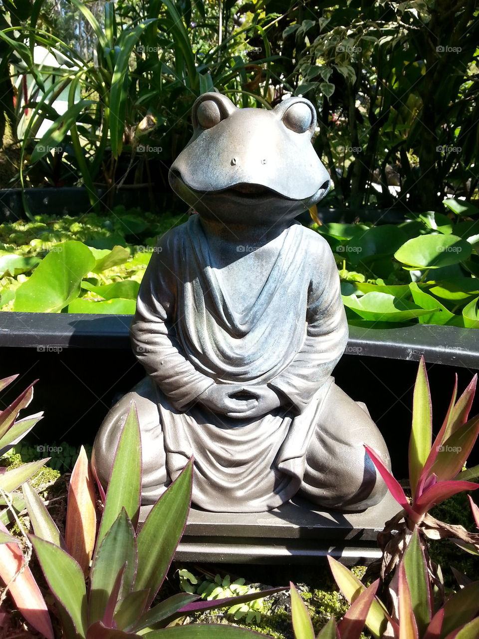 Buddha frog