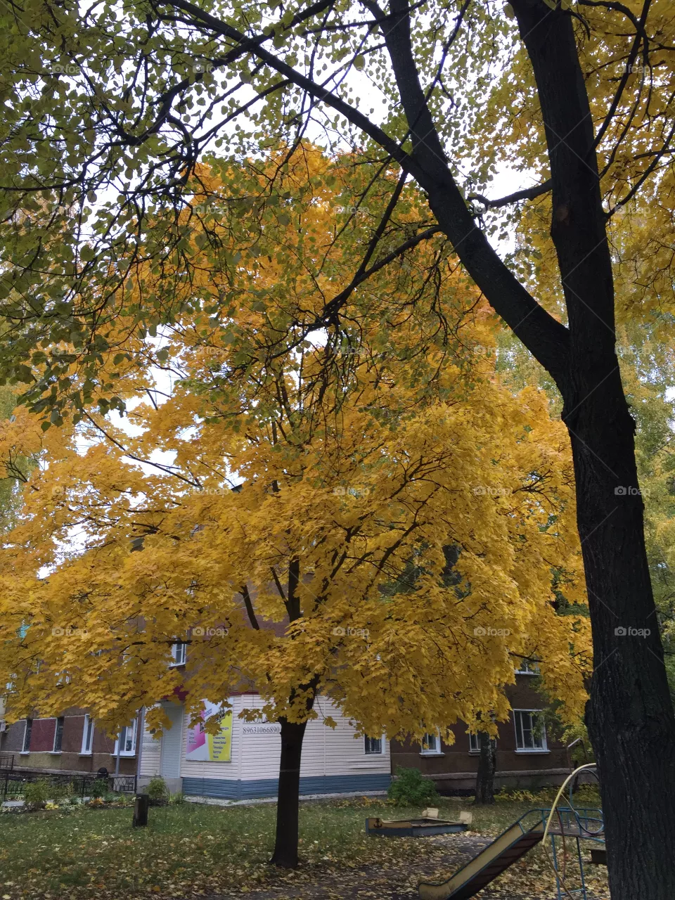 Autumn 