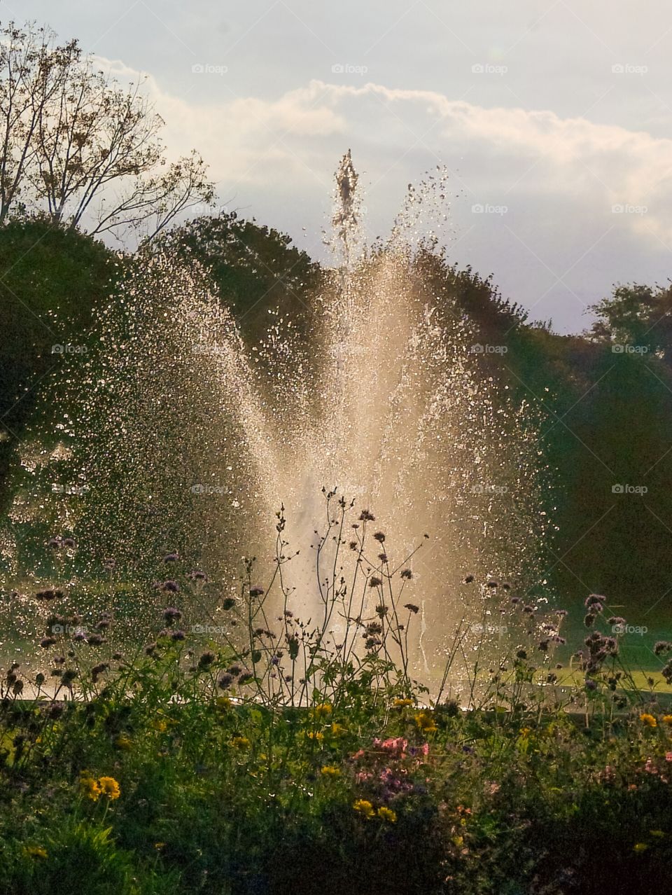 fountain