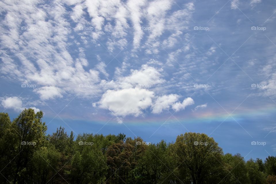 circumzenithal arc upside down rainbow